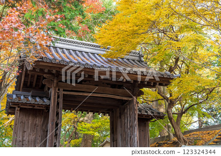 [德島縣]淨六寺的紅葉 123324344