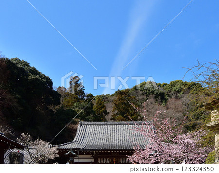 Hirugango Furuji寺 123324350