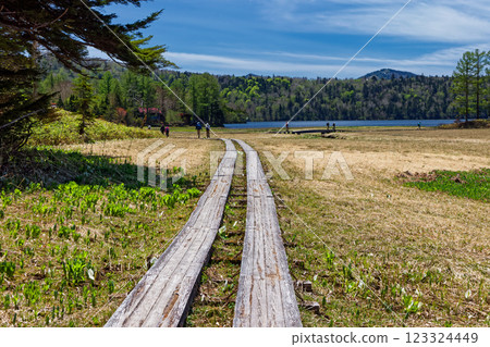 初夏時節從大江沼望去的尾瀨沼湖和Chokura小屋 123324449