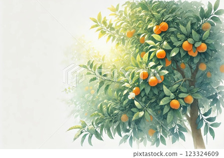 Mandarin orange trees and mandarins 123324609