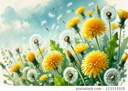 蒲公英·絨毛 123325020