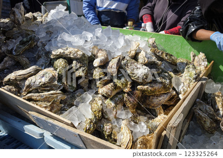 市面上展示的供生吃的野生岩牡蠣 市面上展示的供生吃的野生岩牡蠣 123325264