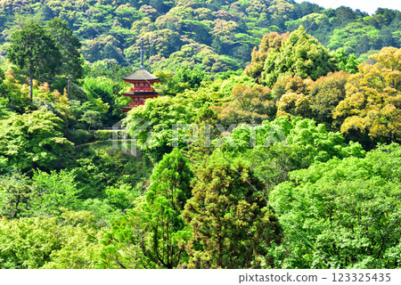 The dazzling fresh greenery of Kiyomizu-dera Temple in Kyoto The dazzling fresh greenery of Kiyomizu-dera Temple in Kyoto 123325435