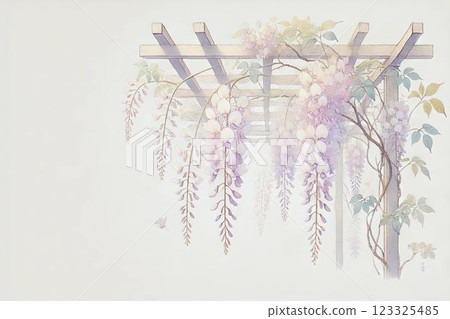 Fujisawa, wisteria flowers 123325485