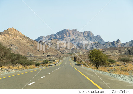 駕車穿越阿曼的荒野 123325494