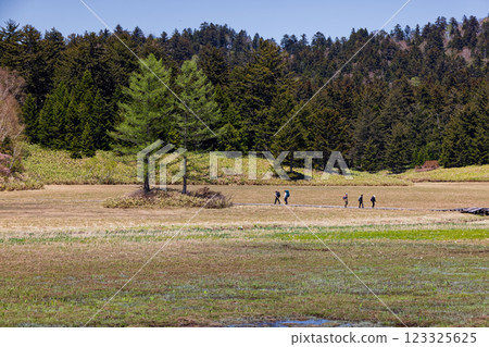 Hikers walking through the Oe Marshlands seen from near Chokura Hut in Oze Hikers walking through the Oe Marshlands seen from near Chokura Hut in Oze 123325625