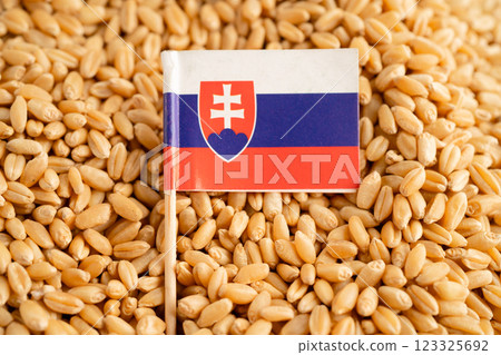 Slovakia flag with Wheat and grains ears agricultural, organic farm 123325692
