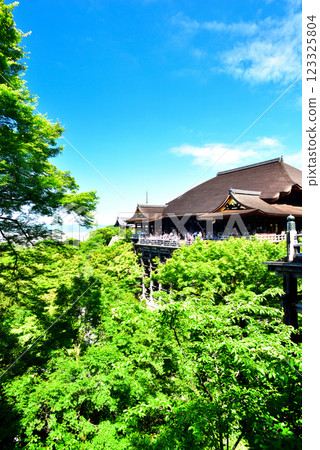 The dazzling fresh greenery of Kiyomizu-dera Temple in Kyoto The dazzling fresh greenery of Kiyomizu-dera Temple in Kyoto 123325804