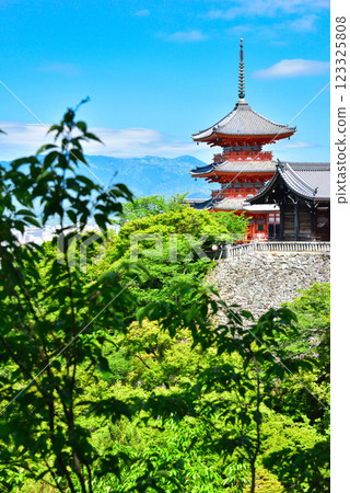 京都清水寺的翠綠令人眼花撩亂 123325808