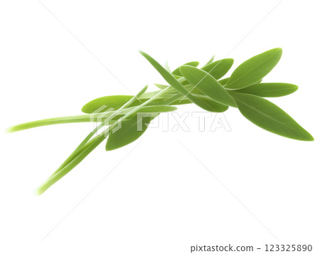 Peppergrass (Lepidium) Tender, peppery peppergrass leaves with a mild spiciness, added to sandwiches, soups, and salads. 123325890