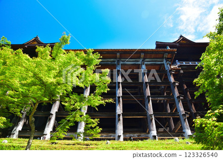 The dazzling fresh greenery of Kiyomizu-dera Temple in Kyoto The dazzling fresh greenery of Kiyomizu-dera Temple in Kyoto 123326540