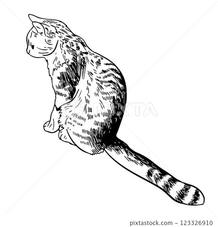 Vector graphic linear illustration of a stripped cat sitting in engraving style. hand drawn sketch 123326910