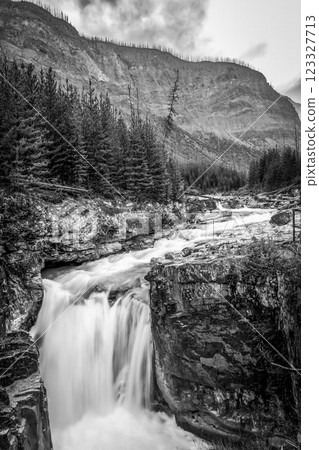 long exposure picture of Marble Canyon Trail along the Tokumm Creek in the Kootenay National Park 123327713