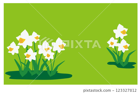 White daffodil background illustration material White daffodil background illustration material 123327812