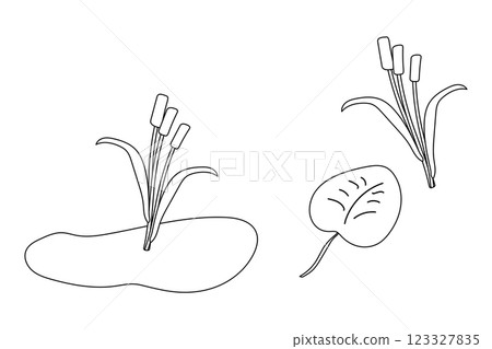 Cattail Plants and Lily Pad Coloring Page 123327835