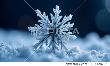 Beautiful snowflake rests on a bed of pristine snow in a tranquil winter landscape Beautiful snowflake rests on a bed of pristine snow in a tranquil winter landscape 123328213