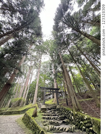 shrine, pray road, stone steps 123328309
