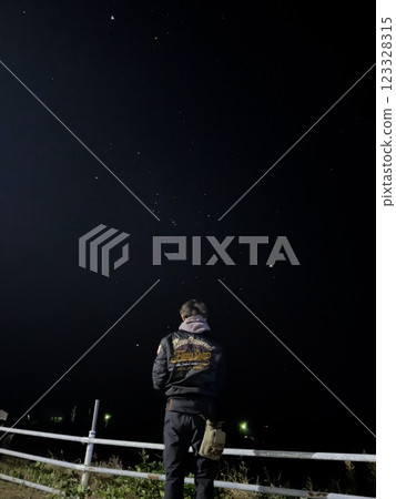 Starry sky 123328315