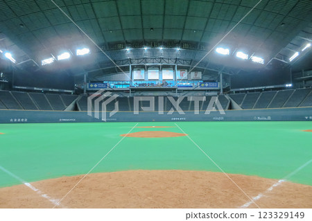 Sapporo Dome  123329149