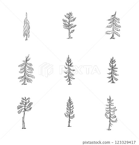 Outline sketch spruce and pine trees set, executed in both Black and White Forest colection Outline sketch spruce and pine trees set, executed in both Black and White Forest colection 123329417