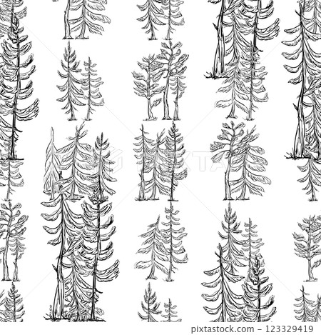 A Seamless Pattern featuring outline spruce and pine Trees, executed in both Black and White Forest illustration A Seamless Pattern featuring outline spruce and pine Trees, executed in both Black and White Forest illustration 123329419