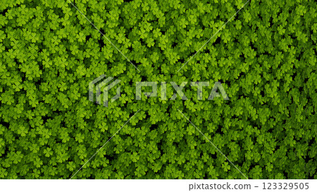 3D Shamrock Wallpaper, 3D illustration Background for advertising and wallpaper in religions and festivals scene. 3D rendering in decorative concept. 123329505