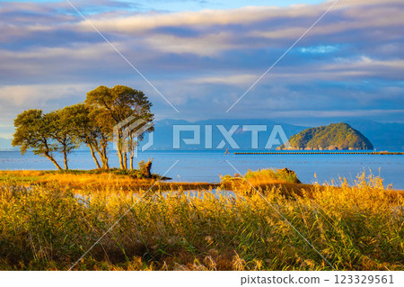 【琵琶湖風光】清晨清新空氣籠罩下的竹生島 123329561