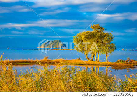[Lake Biwa Scenery] Chikubushima Island enveloped in the refreshing early morning air 123329565