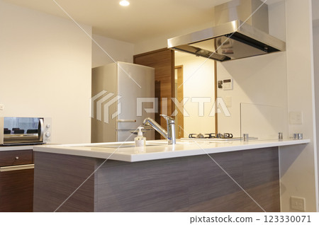 Beautiful dining kitchen 123330071