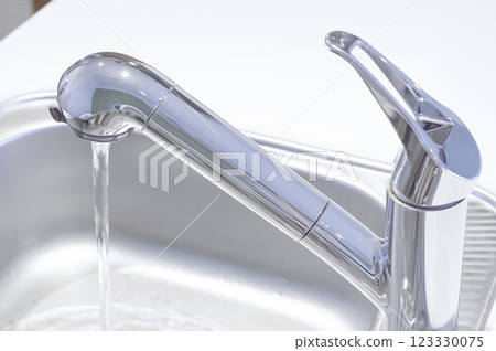 System kitchen faucet 123330075