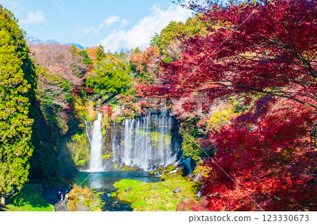 白絲瀑布（秋季）[富士宮市] 123330673