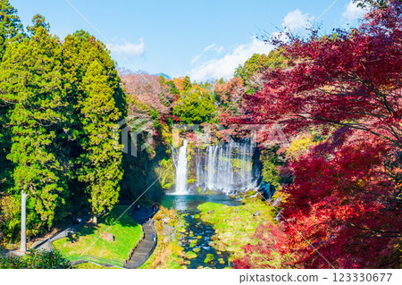 Shiraito Falls (Autumn) [Fujinomiya City] 123330677