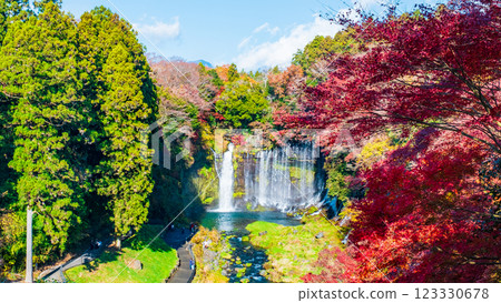 Shiraito Falls (Autumn) [Fujinomiya City] 123330678