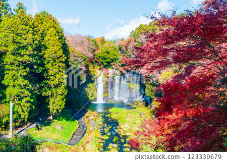 Shiraito Falls (Autumn) [Fujinomiya City] 123330679