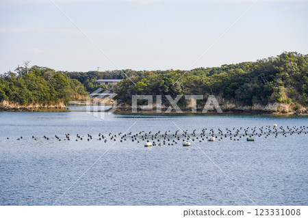 從遊船上眺望英虞灣 從遊船上眺望英虞灣 123331008