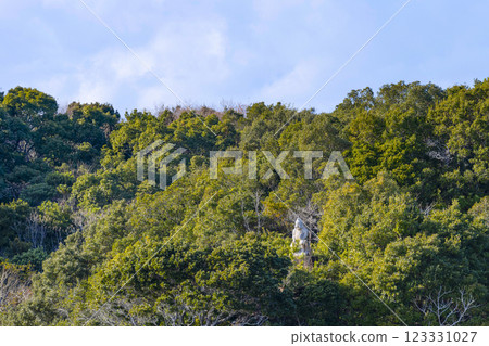 Pearl Ebisu in Takushima as seen from a cruise ship in Ago Bay 123331027