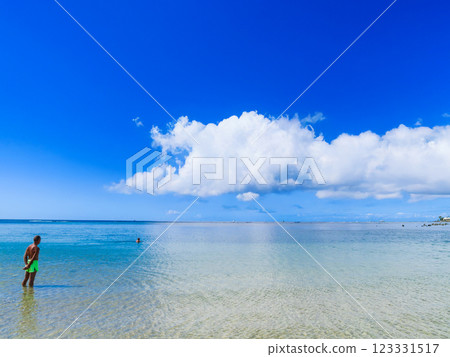 夏威夷阿拉莫阿納海灘 夏威夷阿拉莫阿納海灘 123331517
