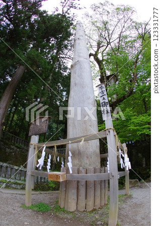 信州、諏訪、諏訪大社、禦柱樹、諏訪神社總本山 信州、諏訪、諏訪大社、禦柱樹、諏訪神社總本山 123331777