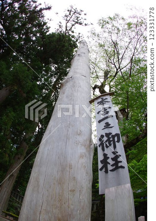信州、諏訪、諏訪大社、禦柱樹、諏訪神社總本山 123331778