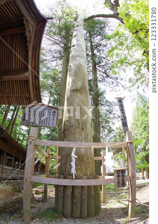 Shinshu, Suwa, Suwa Taisha, Onbashira Tree, Head Temple of Suwa Shrine 123331780