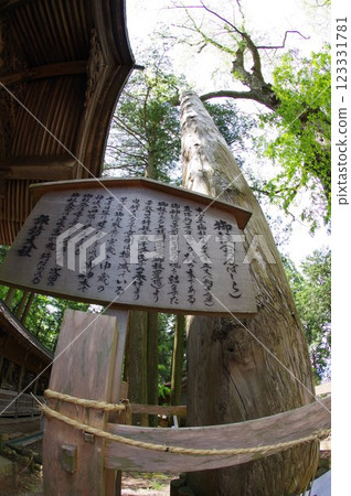 Shinshu, Suwa, Suwa Taisha, Onbashira Tree, Head Temple of Suwa Shrine 123331781