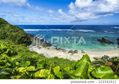 Okinawa Coast 123332411