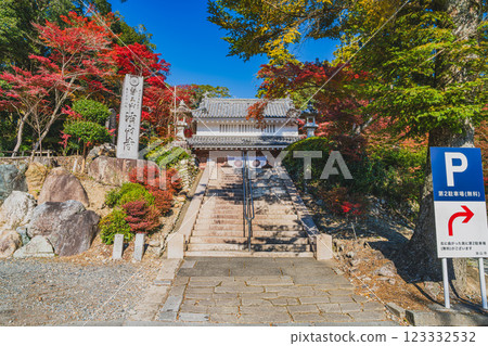 靜岡縣袋井市湯山寺的山門和樓梯,秋葉紛飛。 靜岡縣袋井市湯山寺的山門和樓梯,秋葉紛飛。 123332532