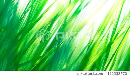green natural abstract background with blurred grass and sun green natural abstract background with blurred grass and sun 123332770