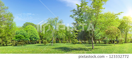 summer park trees and green grass on lawn panorama summer park trees and green grass on lawn panorama 123332772