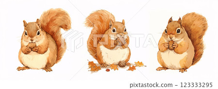 Squirrel with nuts 123333295