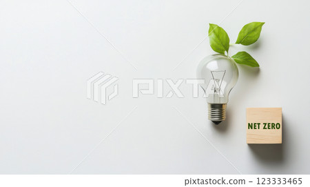 Eco-friendly innovation concept with light bulb and green leaves. Net zero and carbon neutral concept 123333465