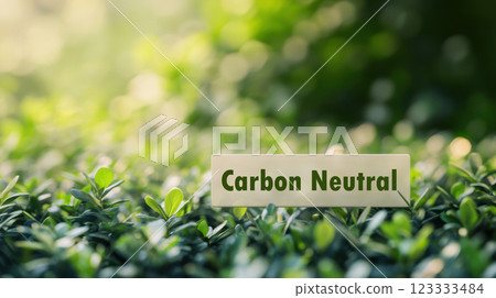 Greenery with nameplate in lush garden setting for outdoor decoration. Net zero and carbon neutral concept 123333484
