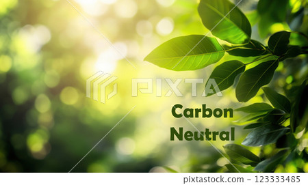 Lush green leaves with sunlight and bokeh background for nature designs. Net zero and carbon neutral concept 123333485