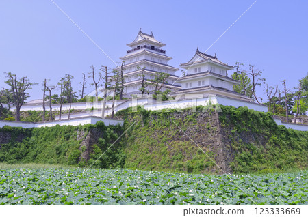 Shimabara Castle 123333669